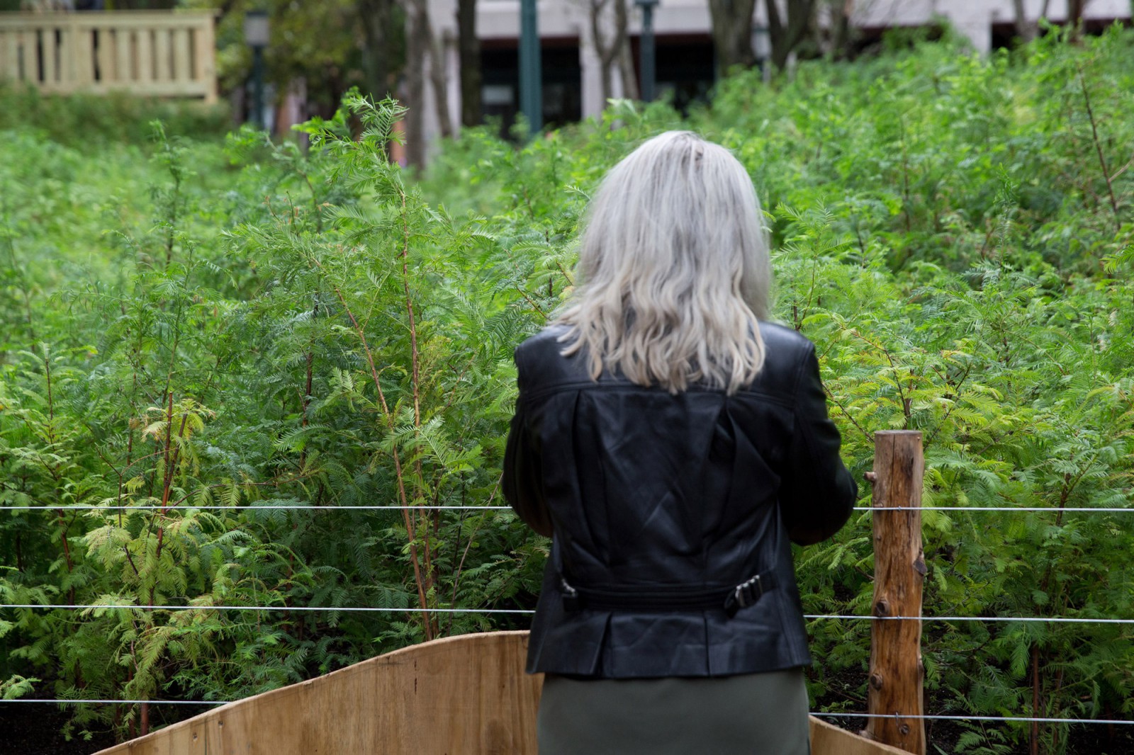 084 Photo Claudio Papapietro.jpg