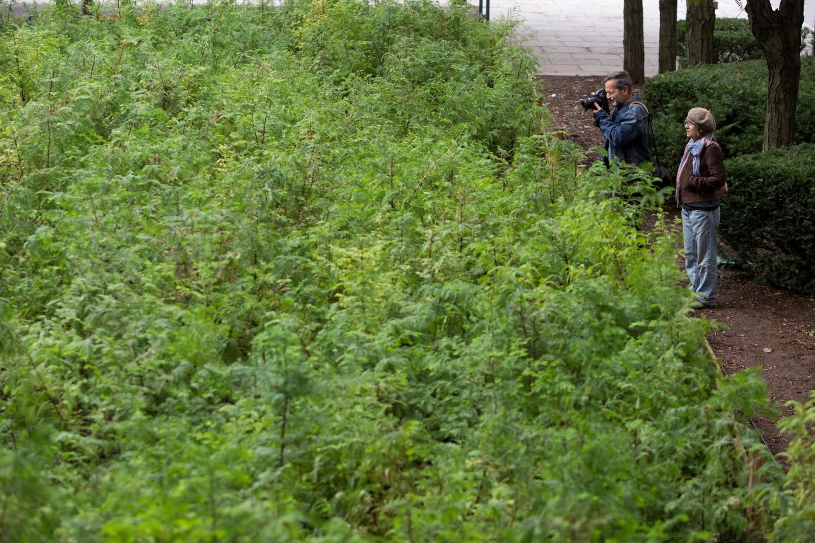 109 Photo Claudio Papapietro.jpg