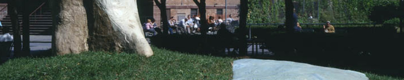 CampbellB 0288 panorama