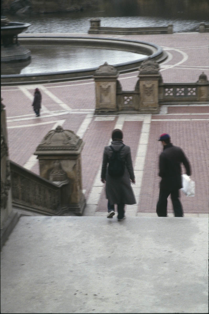 CardiffJ 0293