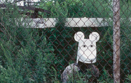 FinnD 0584 Horizontal 1