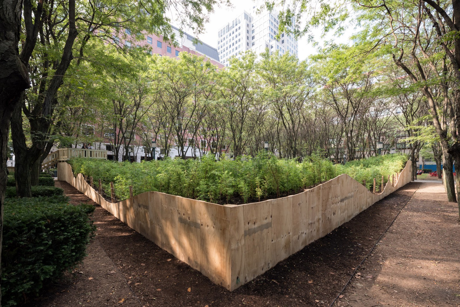 PAF Finch 2016 10 06 DSC 7025 Photo Timothy Schenck.jpg