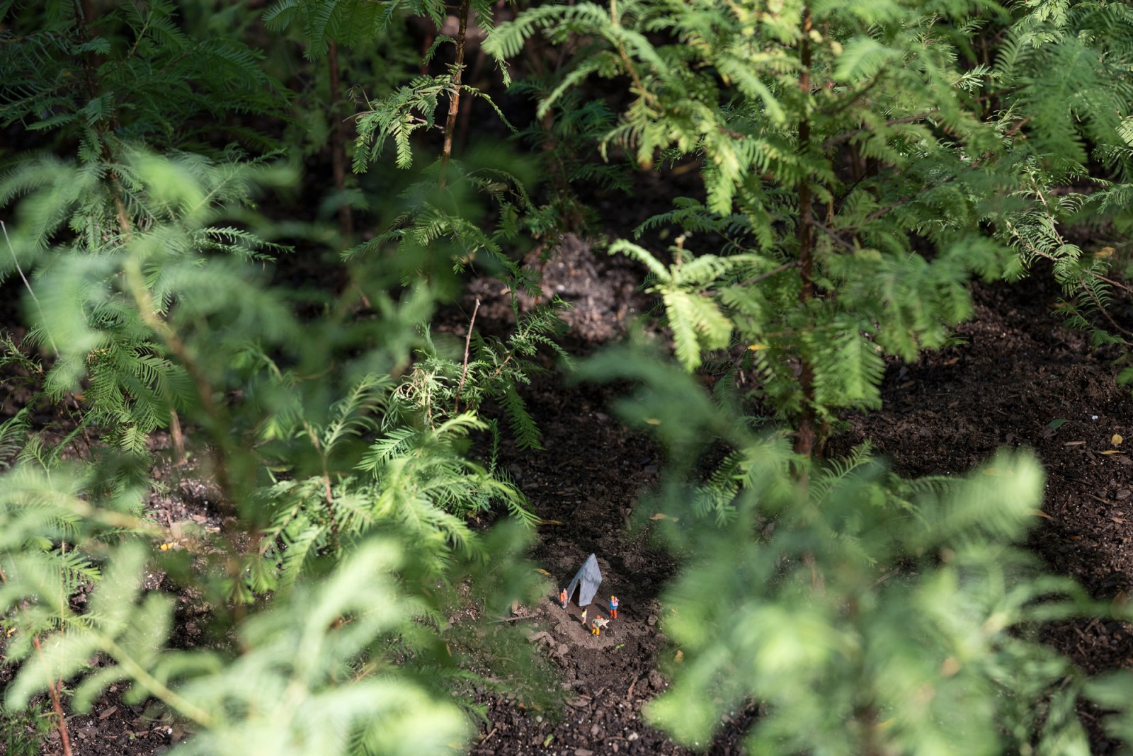 PAF Finch 2016 10 06 DSC 7233 Photo Timothy Schenck.jpg