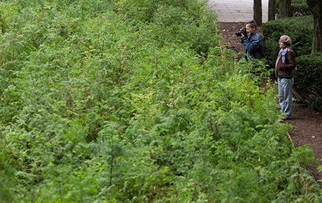 SF Web Horizontal.jpg