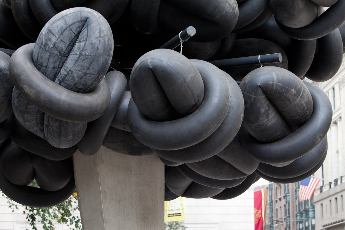 SailstorferM 2333.jpg