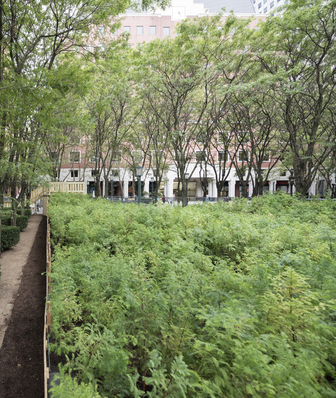 *Schenck PAF Finch 2016 09 29 DSC 6689 crop.jpg