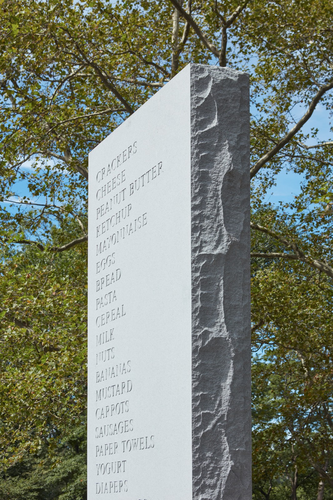 ShrigleyD 3093