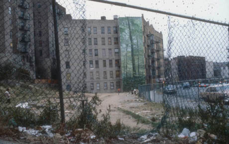 SonfistA 1699 Horizontal 1