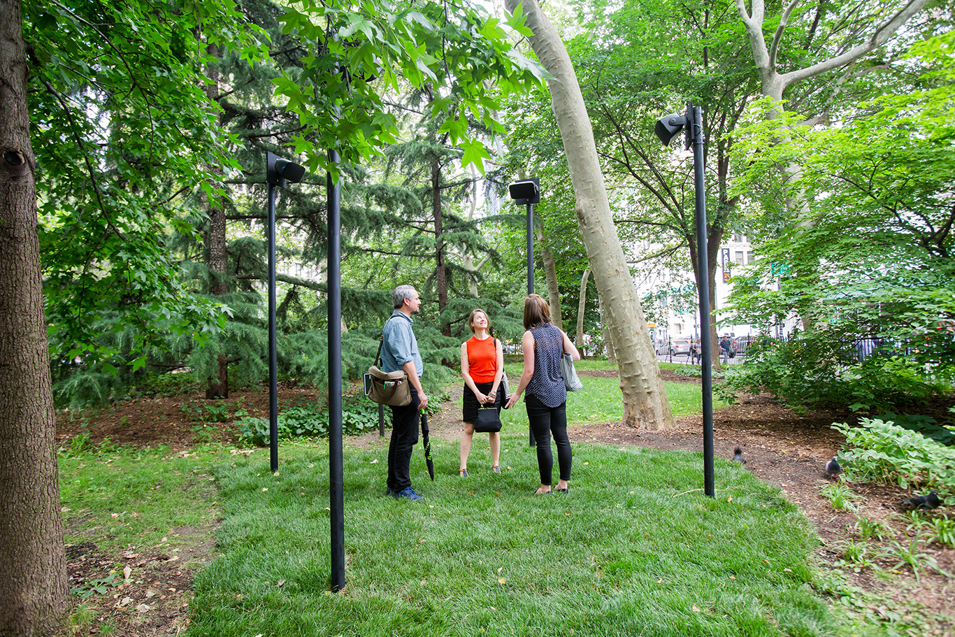 TLOT 3108 LizLigon small.jpg