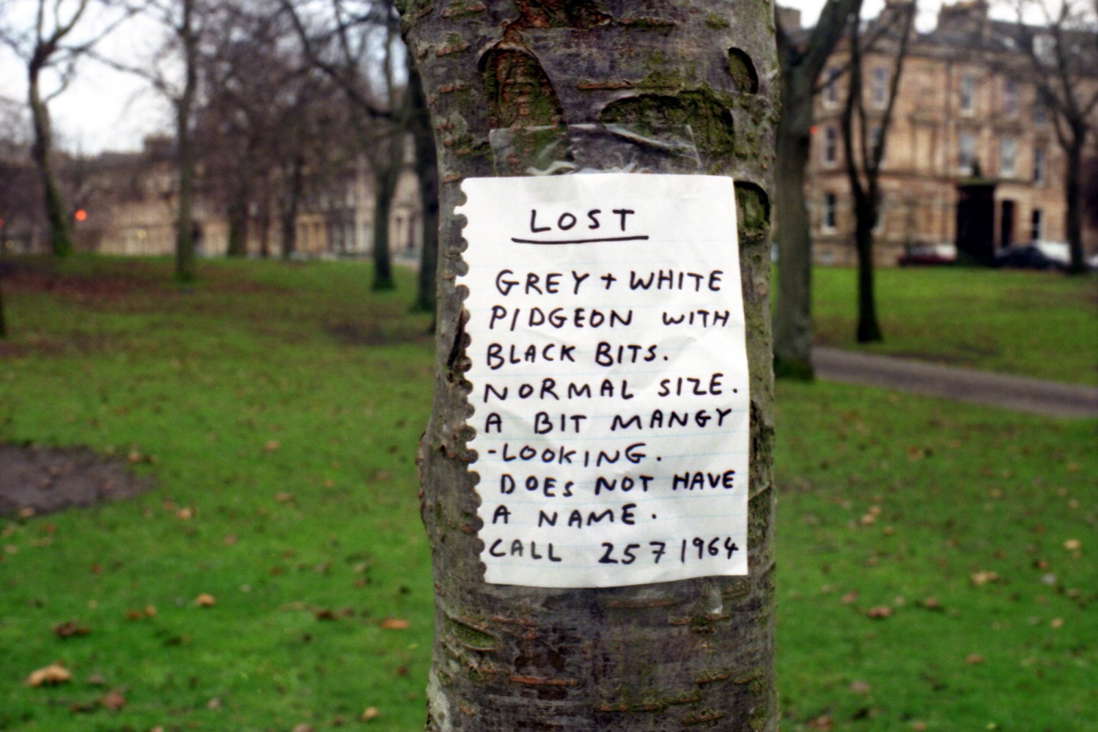 Talks David Shrigley
