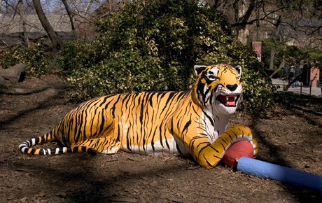 WesphalenO Horizontal 1.jpg 1