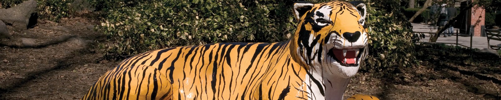 WestphalenO Panorama.jpg