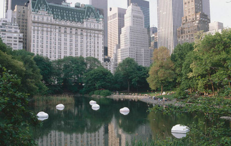 ZittelA 1985 Horizontal