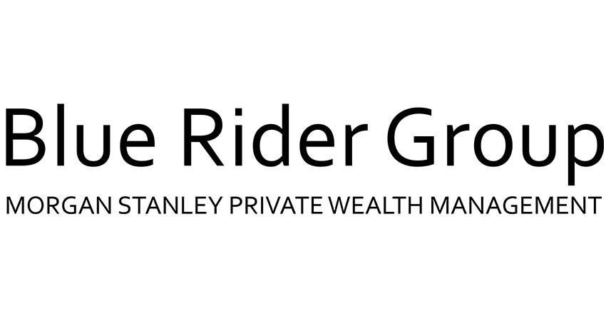 Blue Rider Group supportlogo