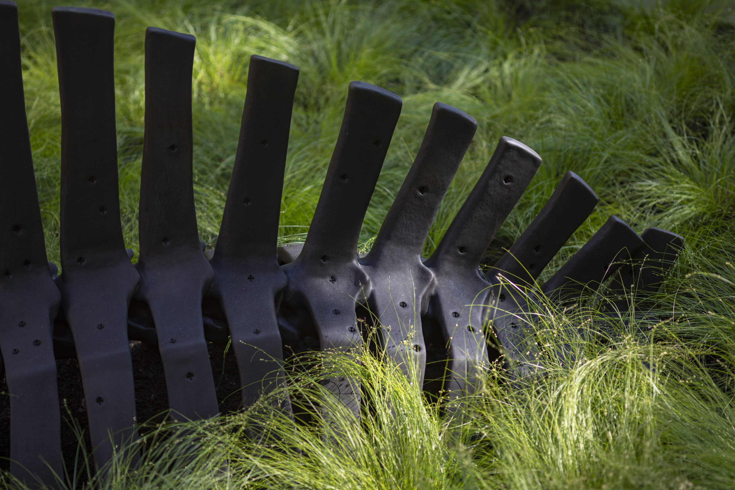 A 10-foot-long black steel sculpture of a bison skeleton sits within a shallow circular bed of green grass in a public park in New York City.