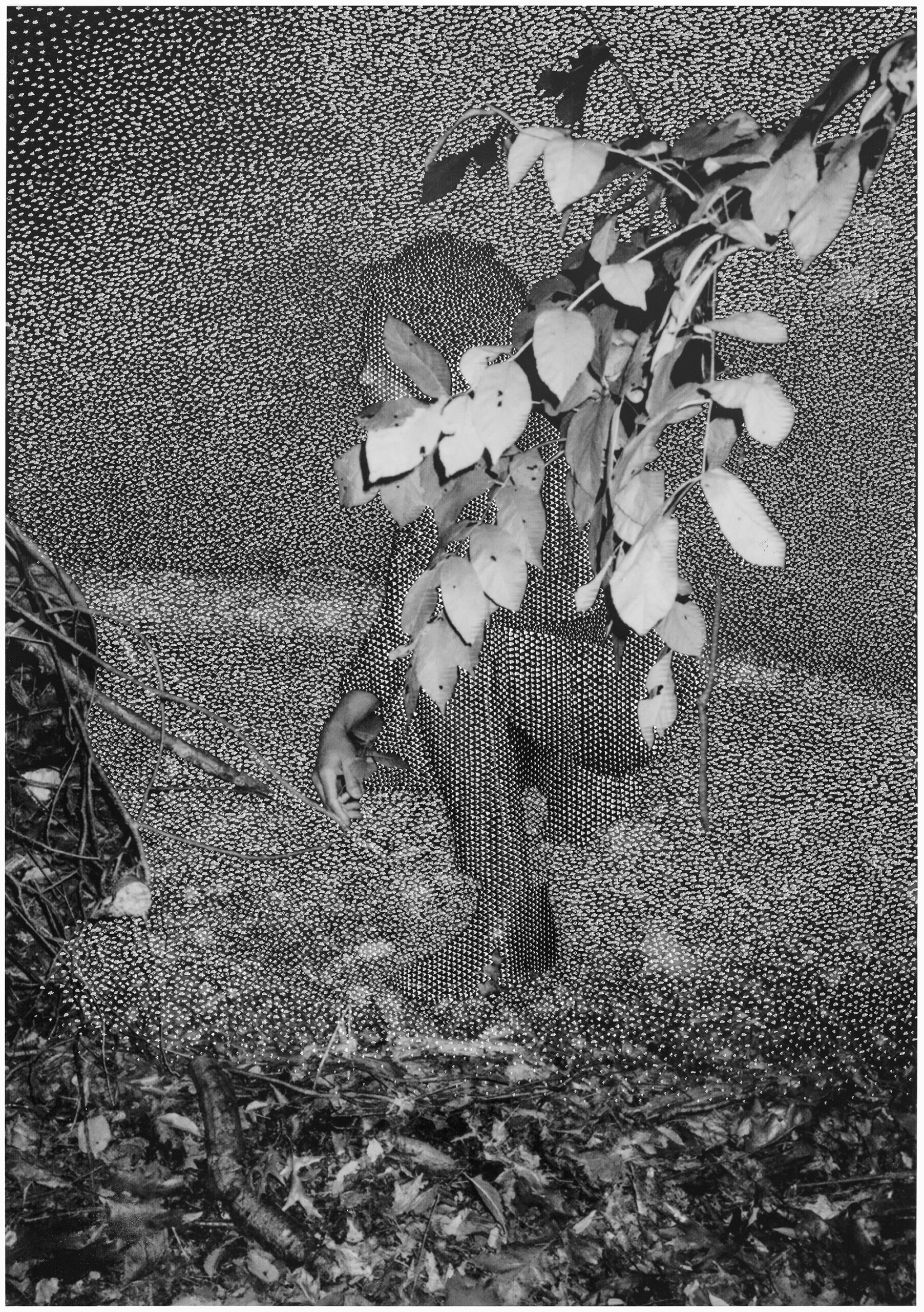 PaulAnthonySmith-Melody7